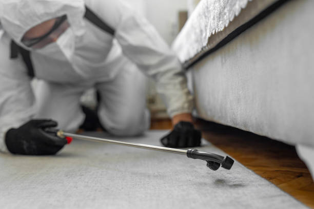 Professional Bed Bug Control technician working in Chesilhurst, NJ