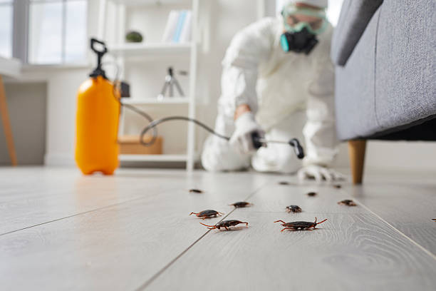 Trusted Termite Control service in Chesilhurst, NJ - Nex Pest Control