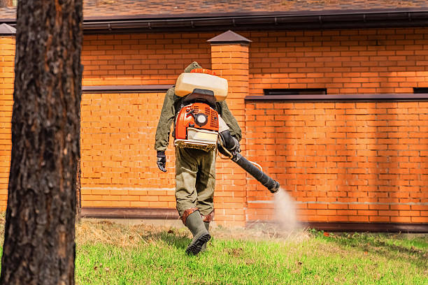Trusted Emergency Pest Control service in Chesilhurst, NJ - Nex Pest Control